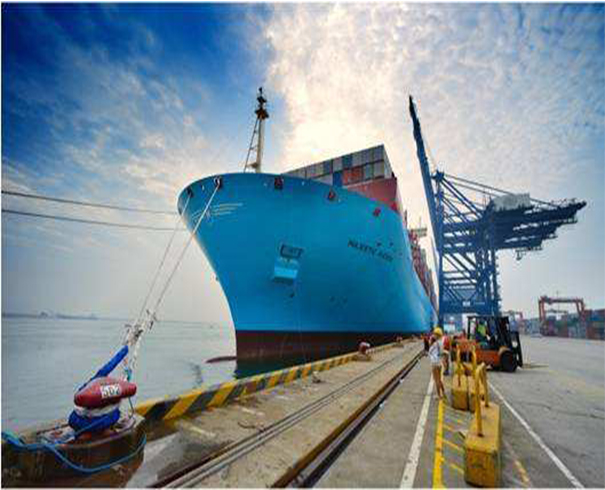 上海到印度—水泥散貨船海運